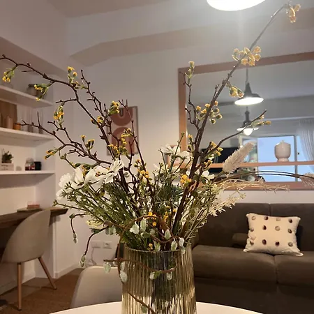 Appartamento Antinori Stresa *